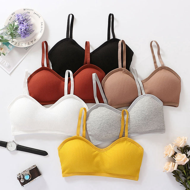 Sutiã modelo Top Canelado com Enchimento - Kaype Store