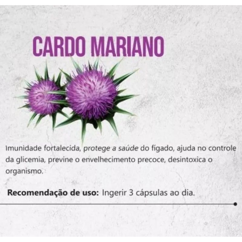 Cardo Mariano