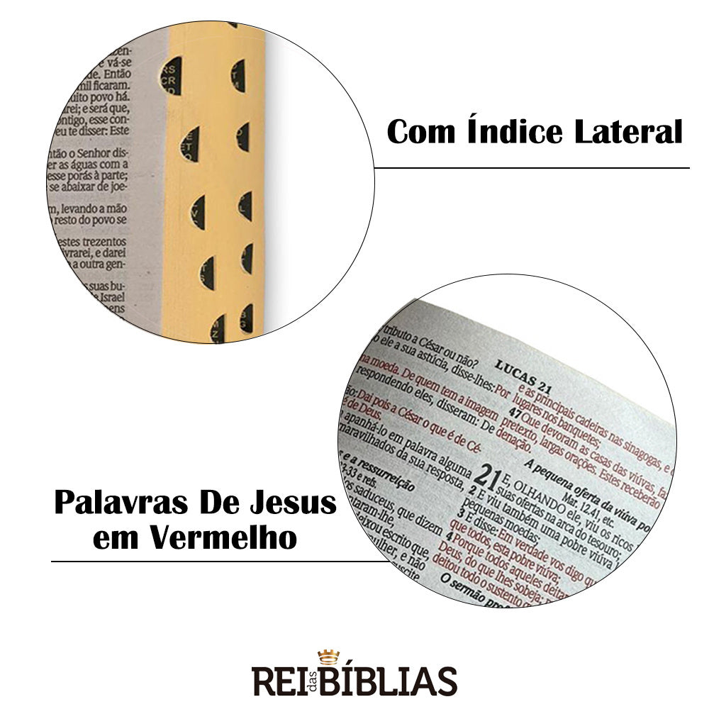 Bíblia Sagrada Gigante Luxo Preta com Harpa - Kaype Store