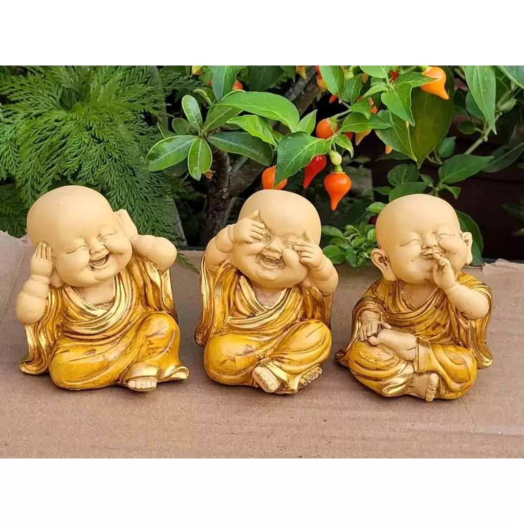 Trio de Buda Sabedoria Mini