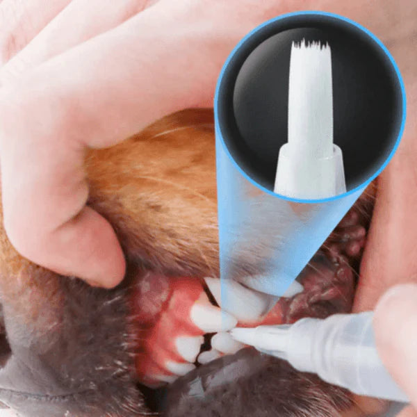 Caneta de Cuidado Dental para Cães e Gatos | Limpeza e Saúde Bucal