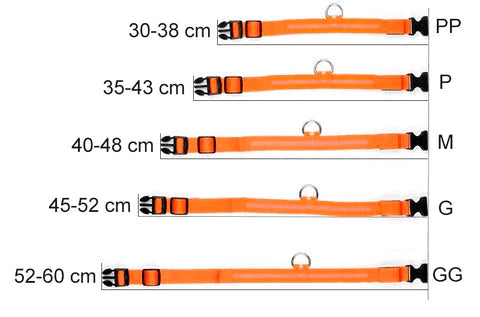 Coleira LED Para Cães e Gatos - Pet Light
