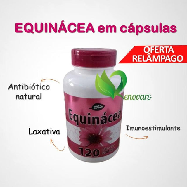 Equinacea Original - Kaype Store