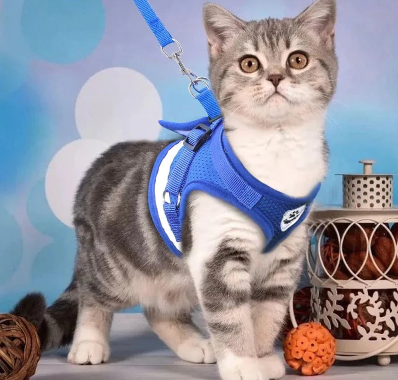 Peitoral Com Guia para Caes E Gatos - Modelo Colete
