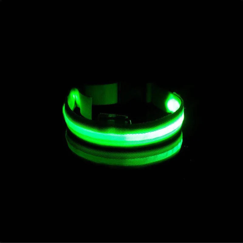 Coleira LED Para Cães e Gatos - Pet Light