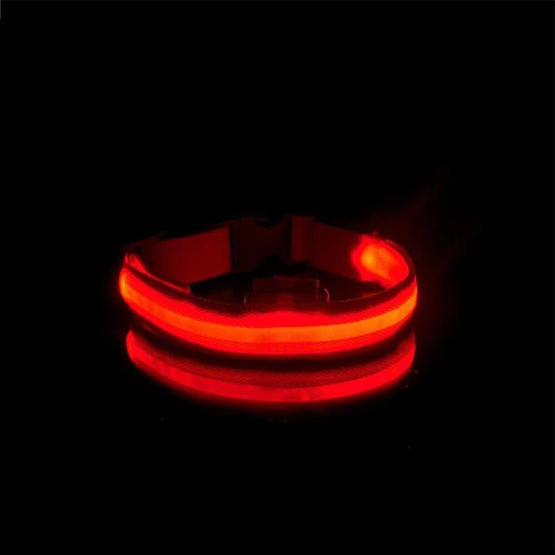Coleira LED Para Cães e Gatos - Pet Light