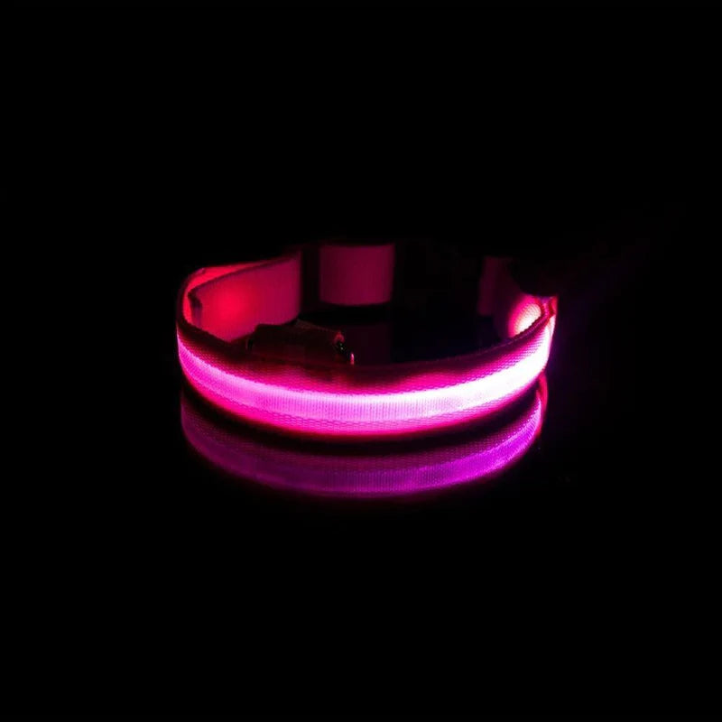 Coleira LED Para Cães e Gatos - Pet Light