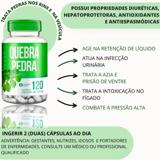Quebra Pedra - Suplemento Natural para Auxiliar no Bem-Estar Renal