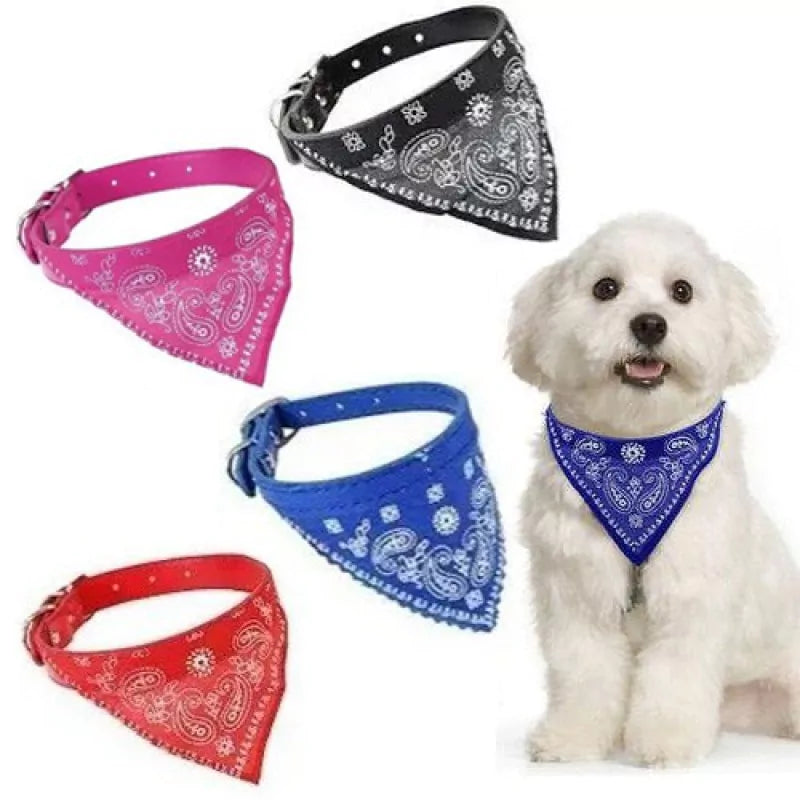 Coleira Bandana para Gatos E Cachorros - Kaype Store