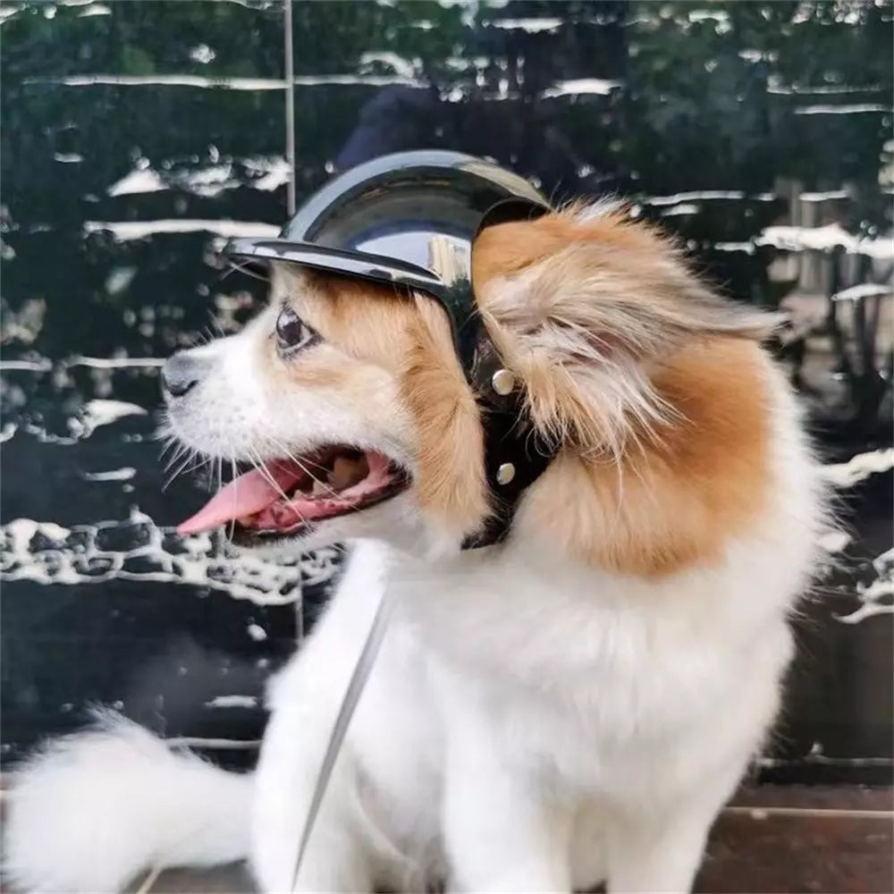 Capacete Premium de Segurança para PET com Espaço para as Orelhas - Gato e Cachorro PET007 Kaypestore