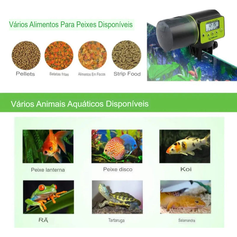 Alimentador Automático para Peixes - Praticidade e Cuidado - Kaype Store