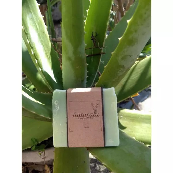 Sabonete de Babosa Puro (Aloe Vera) Artesanal - Babosa Pura