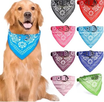Coleira Bandana para Gatos E Cachorros - Kaype Store