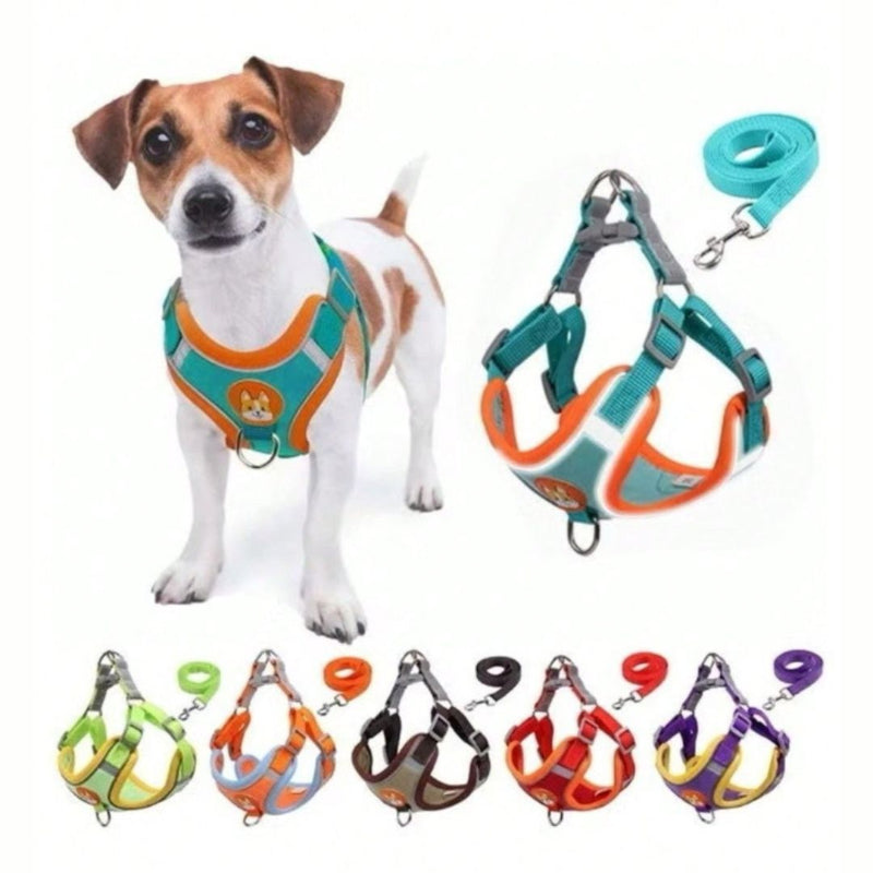 Coleira Peitoral Cachorro e Gato - Conjunto de Guia + Coleira - PetMigo - Kaype Store