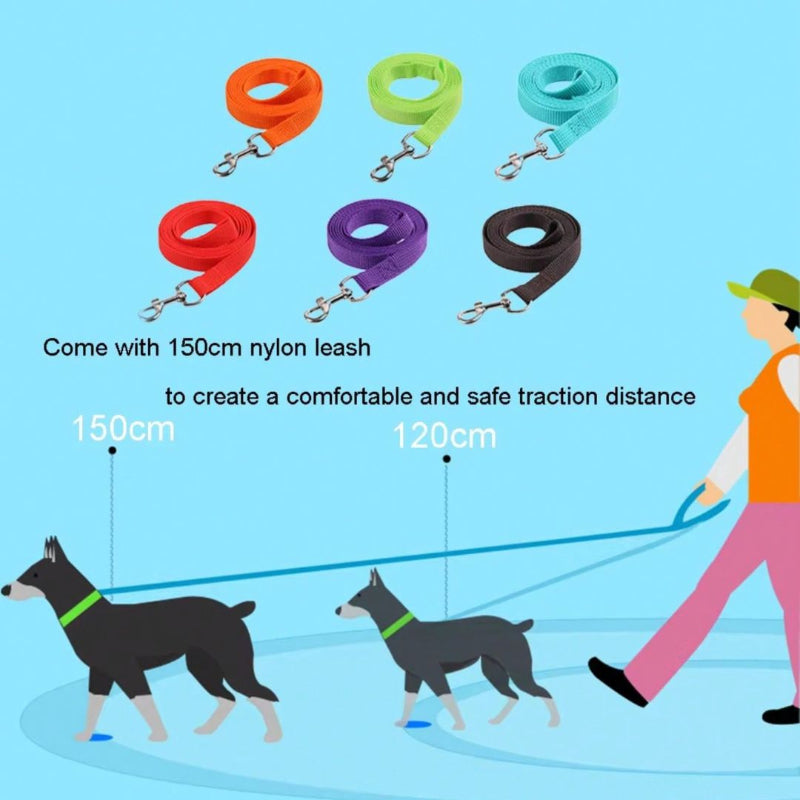 Coleira Peitoral Cachorro e Gato - Conjunto de Guia + Coleira - PetMigo - Kaype Store