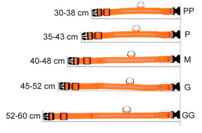 Coleira LED Para Cães e Gatos - Pet Light