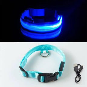 Coleira LED Para Cães e Gatos - Pet Light
