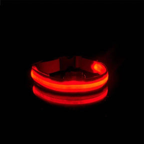 Coleira LED Para Cães e Gatos - Pet Light