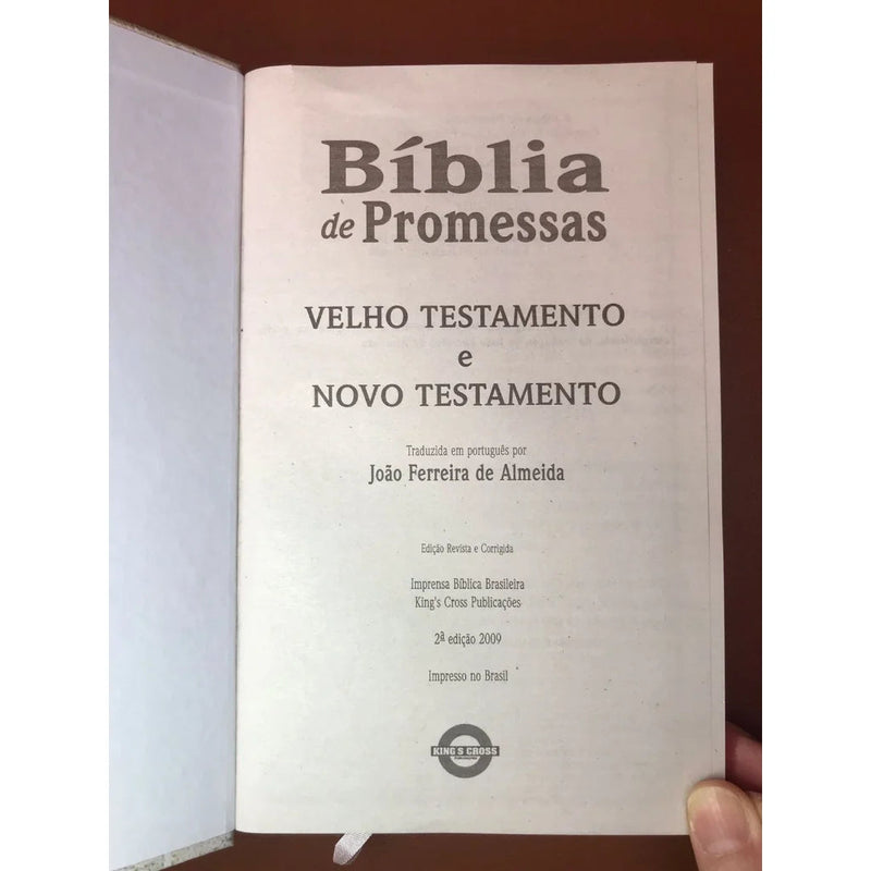 Bíblia Sagrada com Capa de Leão Kaypestore 