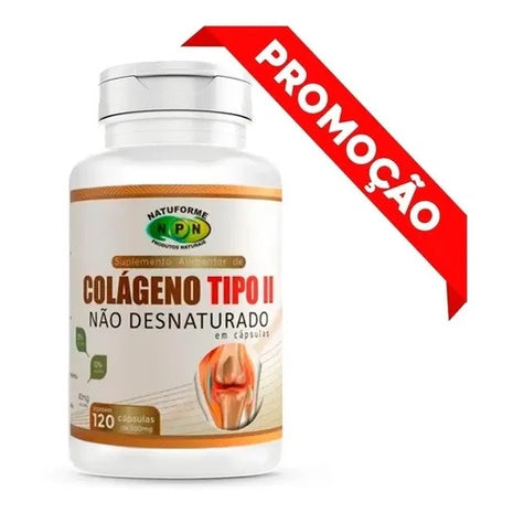 Colágeno Tipo 2 Premium Kaypestore 