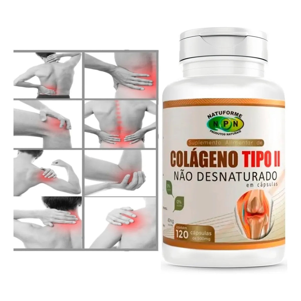 Colágeno Tipo 2 Premium Kaypestore 