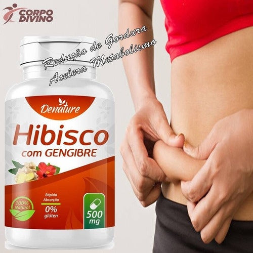 Hibisco com Gengibre Kaypestore 