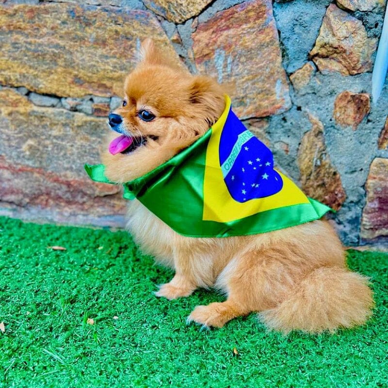 Kit Bandanas/Lenço Brasil Torcida Copa do Mundo COPA012 Kaypestore 